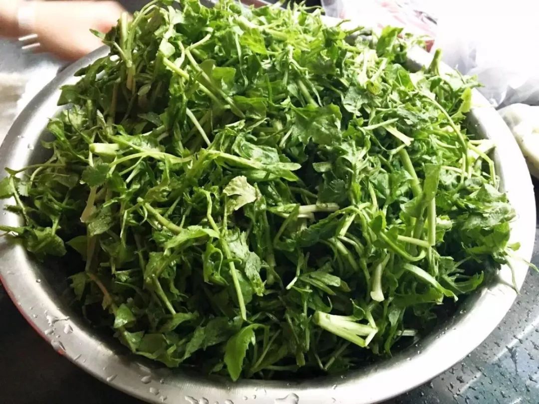 【綠色好心情】春季的應(yīng)季蔬菜，多吃這幾種！
